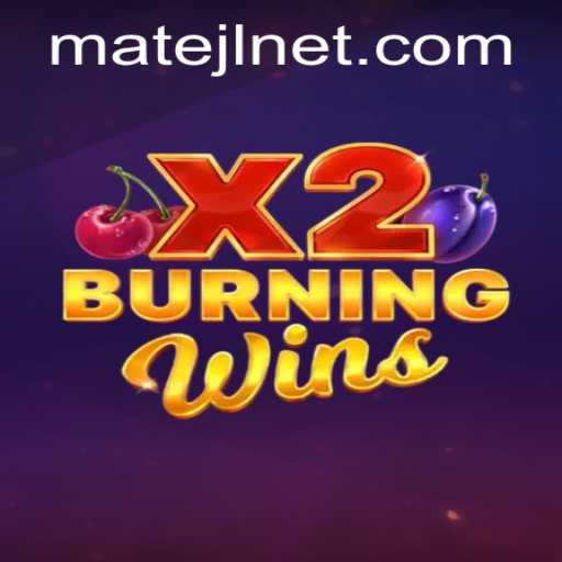 Exploring the Exciting World of BurningWinsX2: A New Era in Gaming