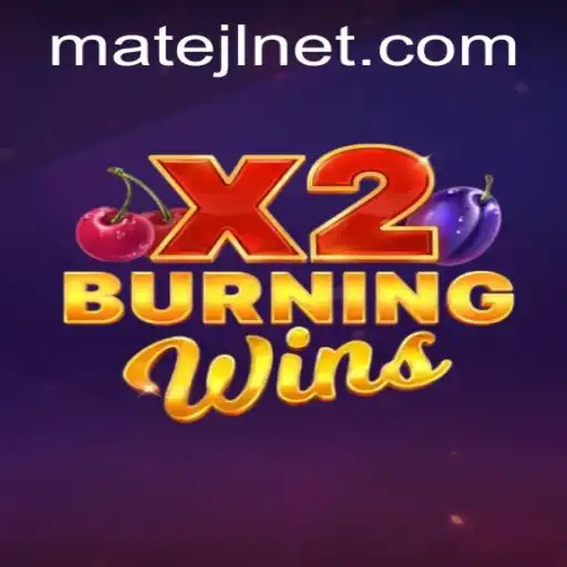 Exploring the Exciting World of BurningWinsX2: A New Era in Gaming